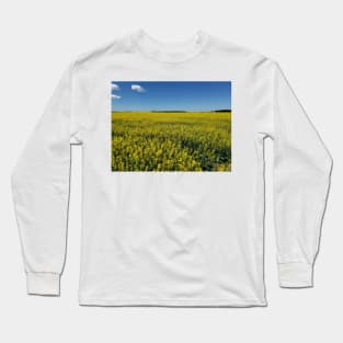 Canola field in bloom Long Sleeve T-Shirt